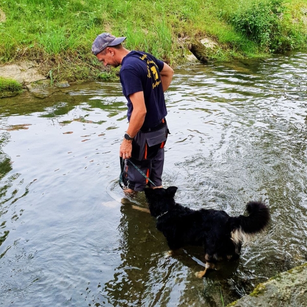 Basistrainer-Prüfung bestanden!